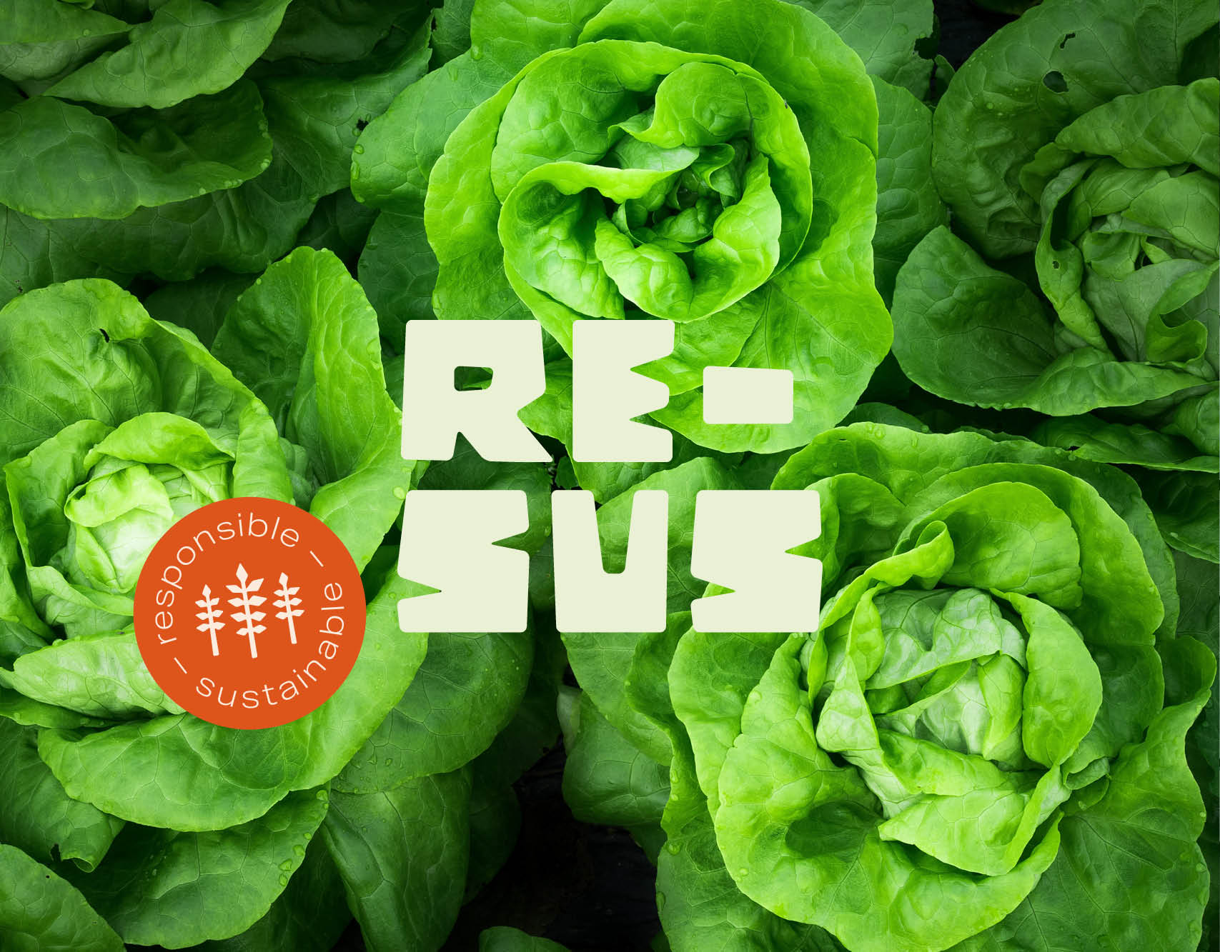 RESUS_visuel-identitet_case_mood2 RESUS FOOD - Cameleon Creatives - Visuel identitet - Logo med orange sticker